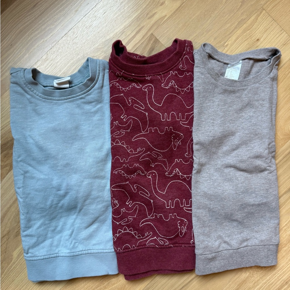 Sweatshirt Trio - light blue, Maroon with dinosaurs and Tan